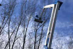 Jászberényben magas fák kivágása a Socage 32 méteres emelőkosaras gépünkkel