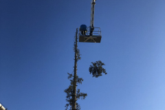 Magas favágás a Socage 32 méteres emelőkosaras géppel