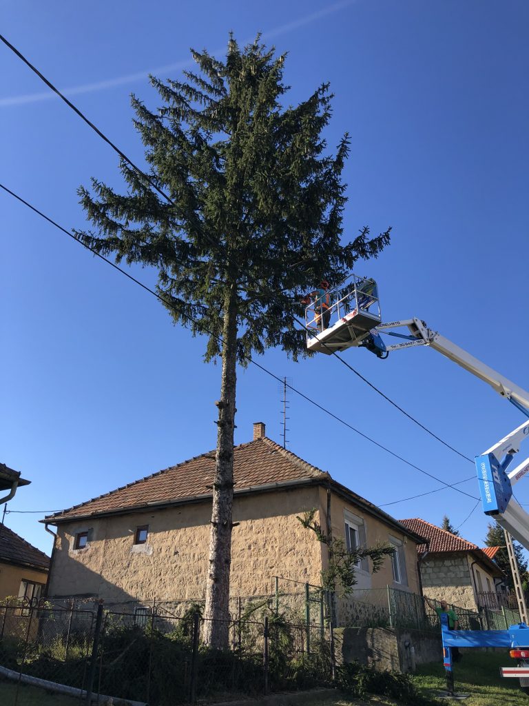 avágás emelőkosaras géppel