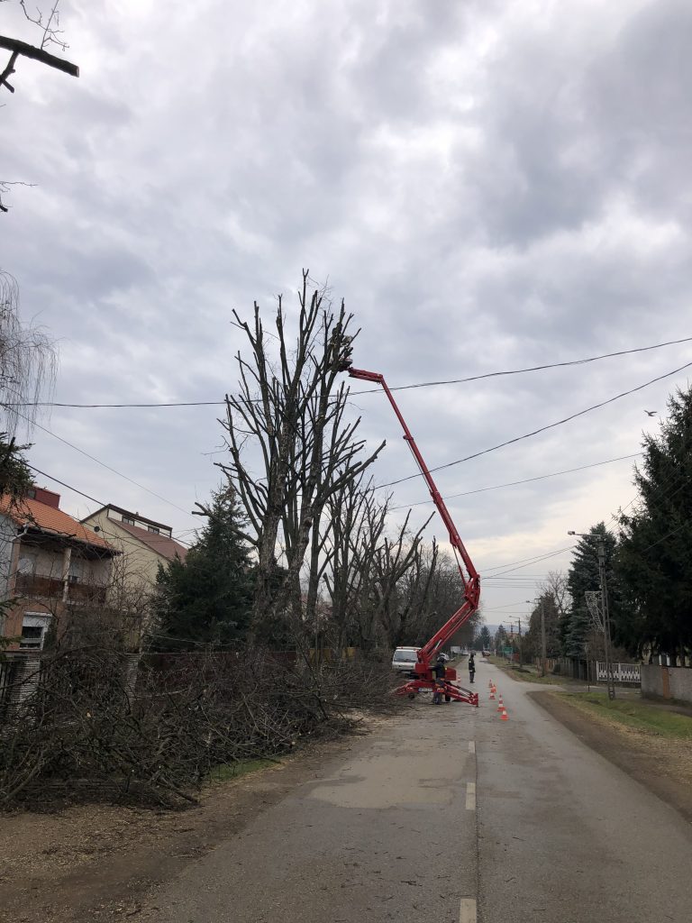 Favágás emelővel