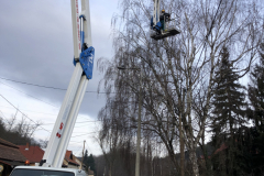 Veszélyes fák kivágásánál segédkeztünk az emelőkosaras gépünkkel