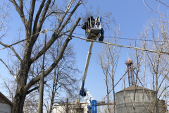 Gyöngyösön favágás a Socage emelőkosaras gépünkkel.