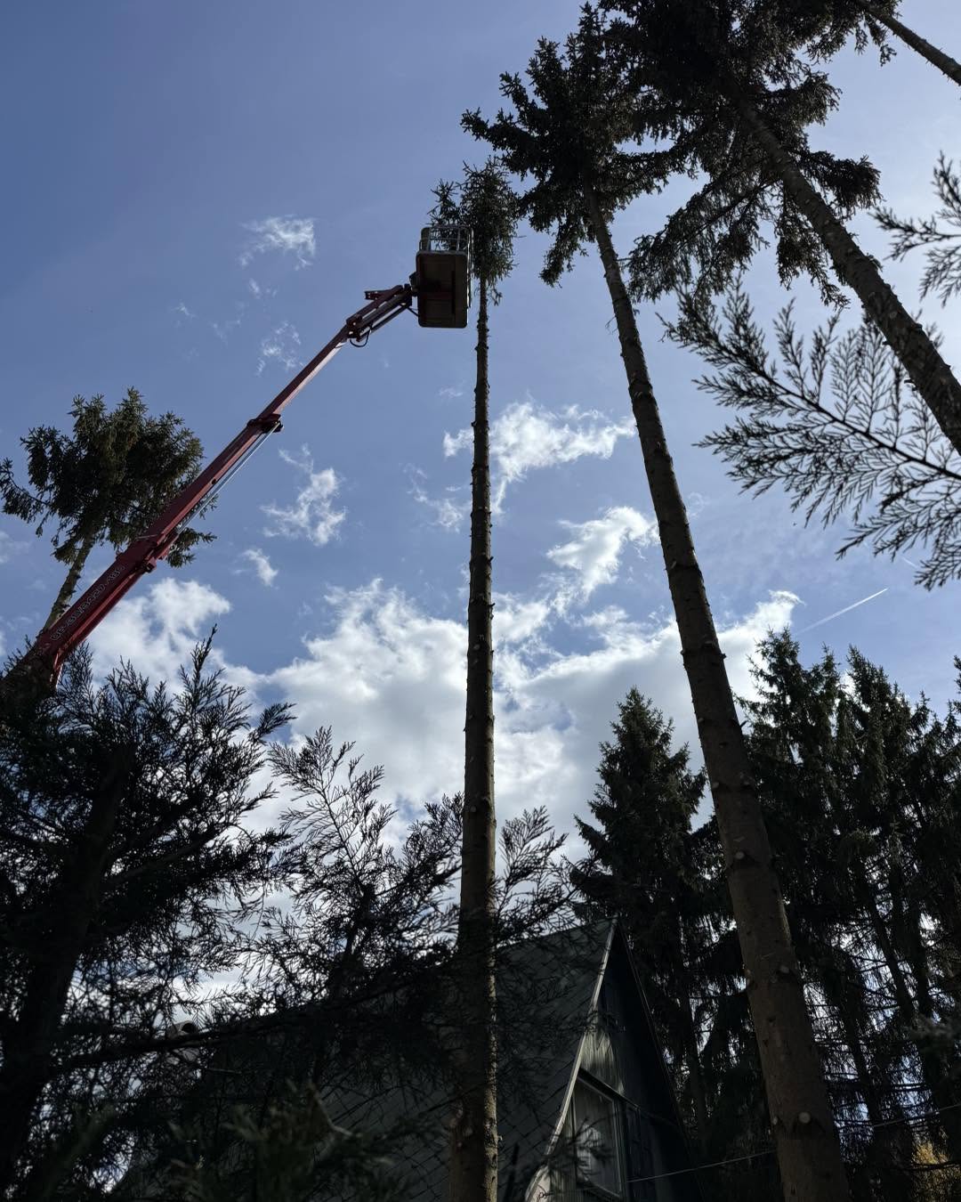 Europelift TM18GT Szuha, Nógrád megye